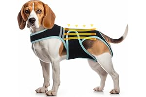 Flexibelt stöd hundsele, bekvämt ryggbandage för artrit IVDD ryggrad kirurgisk återhämtning diskbråck intervertebral disk reh