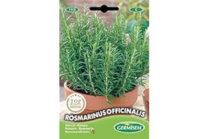 Germisem Rosmarin, mehrfarbig, EC1113