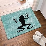 CDHBH - Alfombrilla de baño con Fondo Abstracto y Rana en el Campo, Antideslizante, para...