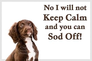 COUNTRYSTYLE GIFTS Brown Cocker Sprocker Spaniel Puppy Funny Fridge Magnet Gift