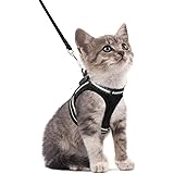 Bingpet Katzengeschirr Mit Leine Und Halsband Zum Spazierengehen Ausbruchsicher Mit 150 Cm Leine Verstellbare Weiche Weste Geschirre Fur Mittelgrosse Und Grosse Katzen Amazon De Kuche Haushalt