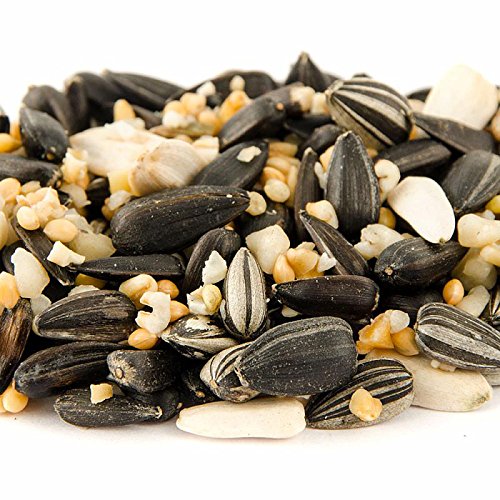 CJ Wildlife 111510615 Wild-Vogelfutter für Futtersäulen Streufutter Winterfutter 1,75 kg Weizenfrei – empfohlen vom NABU und dem LBV - 2