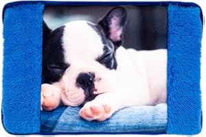 STERGAR Nataluna Borsa Acqua Calda Elettrica Cucciolo In Morbido Tessuto, Scaldamani Imbottito Con Sistema A Risparmio Energetico e Ricarica Rapida, Utile Per Riscaldarsi A Lungo E Alleviare Dolori