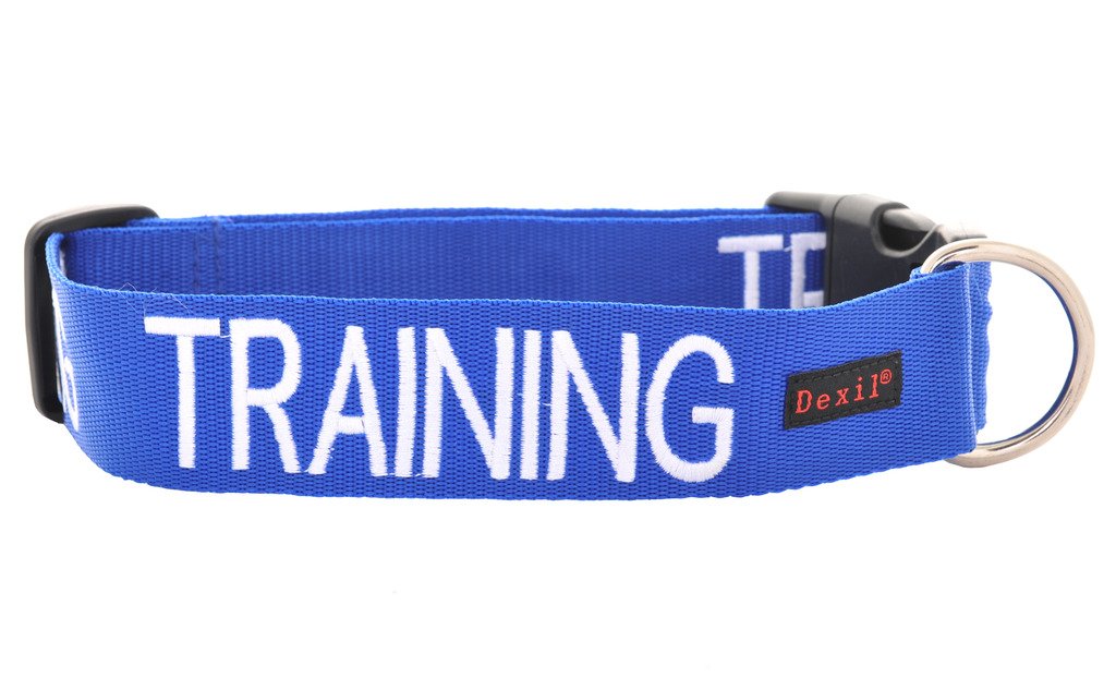 TRAINING (Dog In Training/Do Not Disturb) Blue Colour Coded S-M L-XL Dog Collars PREVENTS Accidents By Warning Others Of Your Dog In Advance (L-XL)