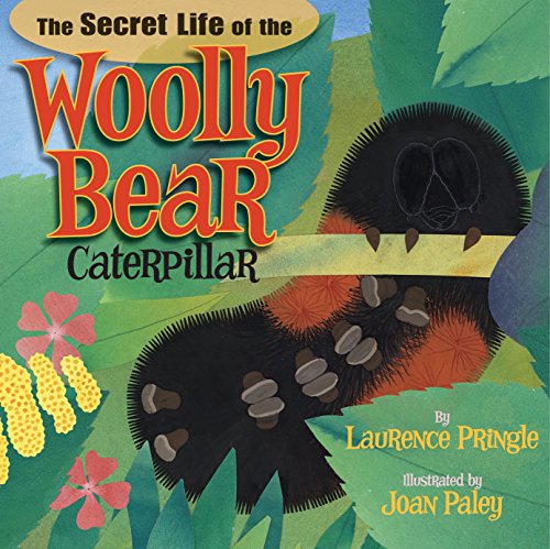 Preisvergleich Produktbild The Secret Life of the Woolly Bear Caterpillar