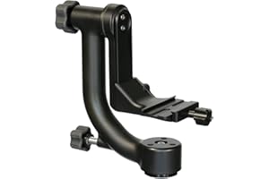 Wimberley WH 200 Head Version II