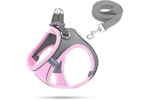 FIETODK Arnes Perro Pequeño,Arnés Perro Pequeño,Arnés Antitirones para Perros,Arnes para Perros(Rosa,XXS)