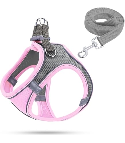 Reflektierendes Hundegeschirr Mit Leine – Weich, Atmungsaktiv, Für XXS Bis L, Rosa, Step-in-Design Mit Klettverschluss & D-Ring