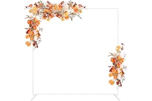 NANDAE 2M x 2M Ballonbogen, Metall Luftballon, Ballonreifen-Ständer, Metallballon-Kreisrahmen, großer Hintergrundständer für Geburtstag, Hochzeit, Babyparty, Abschlussfeier, Dekoration