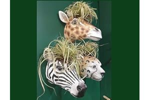 Fyne-Finds Animal Head Wall Planters Giraffe Leopard Zebra Plant Cache Pots Safari Animals Nursery Home Decor (Zebra)