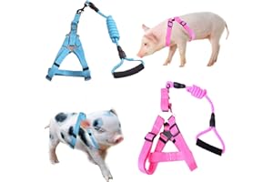 WoYous Tiergeschirr, Größe M, Rosa und Blau, 2-teilig, verstellbares Geschirr mit Leine, Set für kleine Schweine, Hunde, Kaninchen, Spazierengehen, Laufen und Spielen