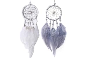 GRASSLANDY 2 pezzi Mini Acchiappasogni Ornamenti con Pium Mini Acchiappasogni Intrecciato a Mano Bohemian Dreamcatcher Decorazione da Appendere per Finestra nel Muro Della Casa e Dell'Auto (Bianco Grigio)