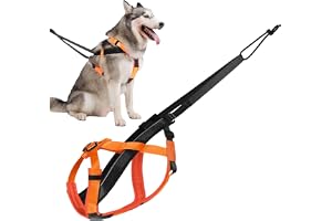 Slädhundsele Reflekterande Sele För Hundar | Justerbar Sele För Träning Sport Promenad Skridskoaktiviteter Utomhus Släde