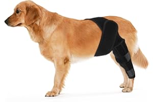 KINBOM Szelki na Tylna Noge Psa, Szelki na Noge Psa na Tylna Noge Orteza Tylnej Nogi Psa Orteza Kolana Psa Orteza Tylnej Nogi Psa ACL (Czarny, Rozmiar M)