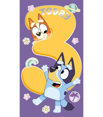 Bluey regalo | Regaln compleanno fa da te, dee per compleanno fa