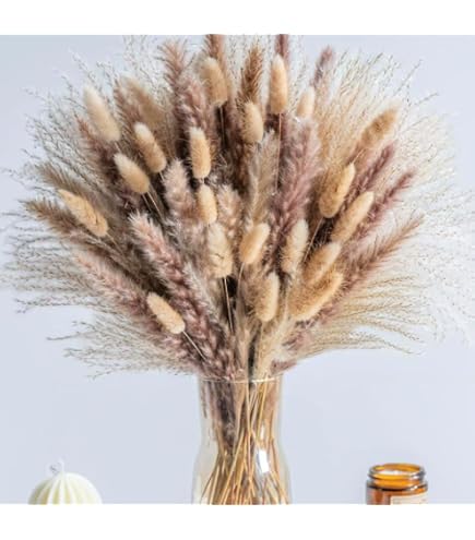 Lot De 90 Herbes De La Pampa Séchées Naturelles - Bouquet Boho Blanc Beige Pour Décoration Intérieure, Mariage Et Chambre
