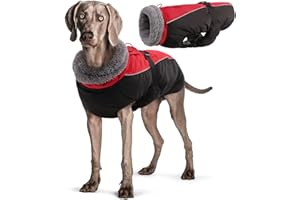 HJYOKUSO Manteau d'hiver pour Chien, Veste ImperméAble pour Chien, Veste d'hiver Chaude avec Doublure en Polaire, Manteau RéFlecteur Ajustable Et Confortable avec Trou pour Harnais pour Petits Et Moyens Chien
