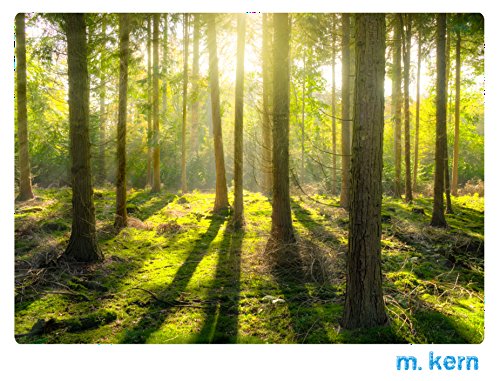 Preisvergleich Produktbild Schneidebrett Wald