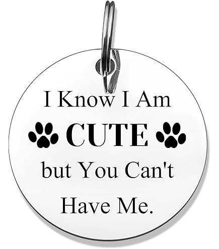 Amazon Dog Collar Tags Funny Pokemon Dog Tags Funny Dog Tag