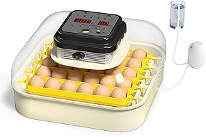 Chalixion Incubadora Huevos Gallina para 30 Huevos, Incubadora de Huevos con Volteador de Huevos, Control de Humedad, Incubadoras de huevos automaticas para Indicador de Temperatura, Candler de Huevos