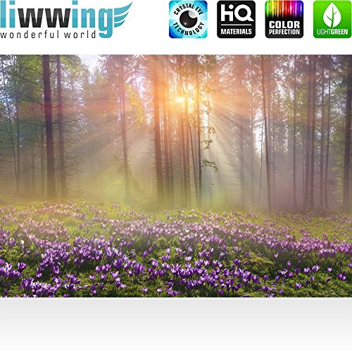 Fototapete Wald – ALLE WALDMOTIVE auf einen Blick ! Vlies PREMIUM PLUS – 200×140 cm – PURPLE FOREST FLOWERS – Wald Bäume Natur – no. 239 - 2