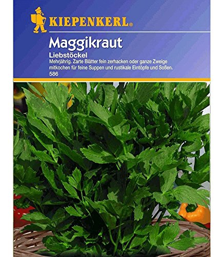 Liebstock, Maggikraut, 1 Tüte Samen