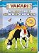 Produktbild Yakari. Indianerstarke Silbengeschichten (Lesen lernen mit bunten Silben)