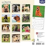 Image de Shar-Pei 2017 Calendar
