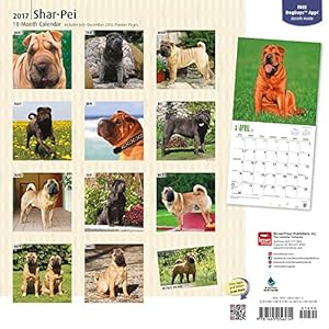 Shar-Pei 2017 Calendar