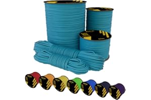 EdcX Paracord 4mm, 35+ colori solidi (15m, 30m, 50m, 100m, 300m) | Ideale per campeggio, sopravvivenza, attività all'aperto | Corda 100% nylon 4 mm| Corda Tattica 550 Tipo III (Ice Mint, 15 m)