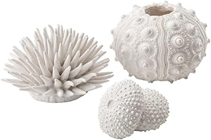 biOrb Erizos De Mar Blancos