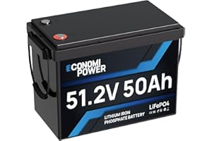 Lithium-Akku 48 V 50 Ah, EconomiPower Lifepo4 48 V Lithium-Akku mit Zellen der Klasse A, BMS 50 A, perfekt für Wohnmobile, Trollingmotoren, Solar, Häuser