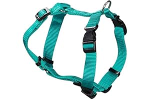 Arppe 2241013026 Arnés Nylon Basic, Turquesa