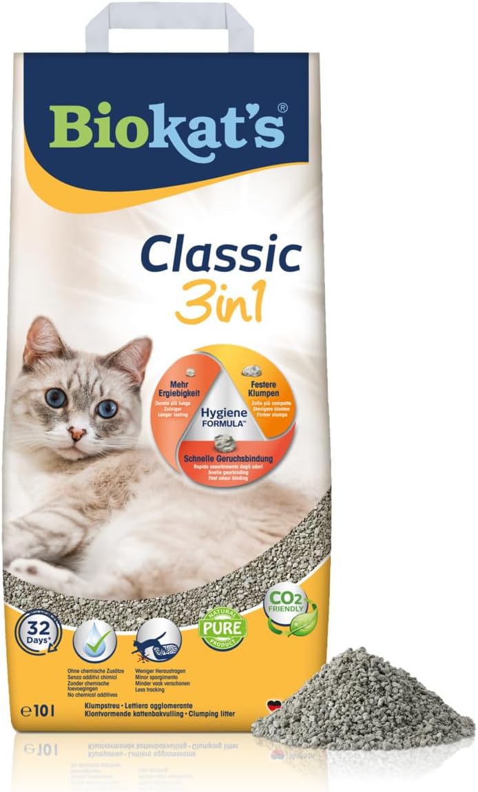Vue 12