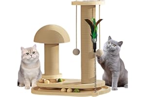 Anyingkai Jouet Interactif et Intelligent en Bois pour Chat - Balle Interactive