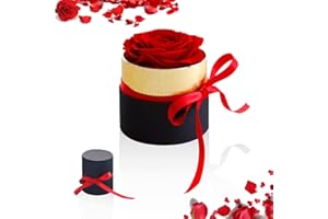 VUSDDY Mini caja de regalo rosa eterna,rosas estabilizadas hechas a mano, regalo de San Valentín, regalos para la madre, rosa eterna, flor nunca marchita, rosa estabilizada, niñas regalos de boda, un regalo