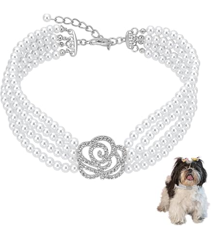 Haoyueer Collare Per Cani E Gatti Con Strass E Campanella, Collare Per Cuccioli Con Morbido Velluto Di Cristallo, Collana Gioiello Per Ragazze (nero