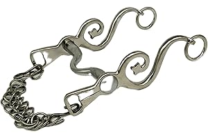 TYSONS BREECHES Kandare Spanisch Barock Portugisisch Show 12,5 13,5 14,5 15,5 16,5 Gold oder Silber Farben Tysons incl. Kinnkette (13,5, Silberfarben)