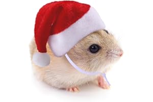 BRTNUP Chapeau de Noël pour hamster, petit chapeau de Père Noël pour cochon d'Inde, lapin, chinchilla, chat, perroquet, costume de Noël