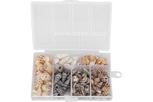 TOZBLEU Conchiglie - 160 pcs conchiglie decorative,conchiglie decorative,conchiglie per fai da te, conchiglie da infilare,perle a spirale,non forate per vasi, artigianato, fai,1-3 cm,