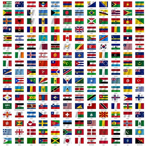 OFA Maxi Chart - Drapeaux du Monde avec des Noms de Pays, Poster Mural de 60 x 60 cm