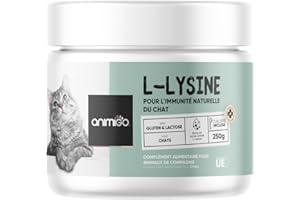 ANIMIGO L-Lysine pour Chat en Poudre 250g, Acide aminé Pur - Lysine Chat Coryza Système Immunitaire, Bien-Être Respiratoire, Yeux & Allergie, Poudre à Saupoudrer ou Dissoudre - Cuillère Incluse
