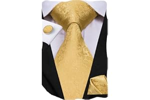 Dubulle Mens Tie Set Paisley Floral Checks Neckties for Men Silk Pocket Square Cufflinks Suit Wedding