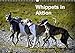 Produktbild Whippets in AktionAT-Version (Wandkalender 2019 DIN A3 quer): Die kleinen englischen Windhunde im Lauf, im Spiel, bei Raufereien (Monatskalender, 14 Seiten ) (CALVENDO Tiere)