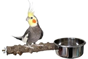 yupeuooe Perchoir à oiseaux avec mangeoire | Perchoir en bois avec bol, design intégré pour calopsittes, perroquets moyens, perruches, perruches