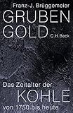 Grubengold: Das Zeitalter der Kohle von 1750 bis heute by 