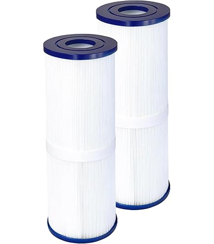AquaHouse AH-P25 Filtro Per Spa E Vasca Idromassaggio - Compatibile Con PRB25-IN, C-4326 E Altri