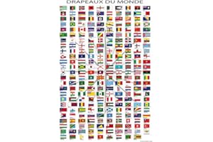 1art1 Drapeaux Du Monde Poster Noms Des Pays Et Capitales, En Français Affiche Murale 91x61 cm
