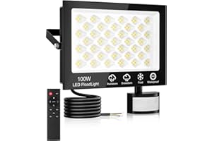 Litglobe LED Strahler mit Bewegungsmelder Außen 100W,10000LM Scheinwerfer mit Fernbedienung,6500K Kaltweiß LED Flutlicht,IP66 Wasserdicht Fluter mit Bewegungsmelder Außen für Garage Garten Hof