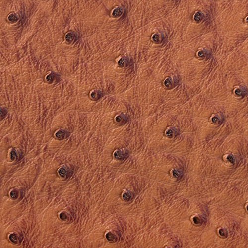 MacBook Pro 15“ Tasche | passend für 14.0 bis 15.6 Zoll Laptops | Ostrich Optik karamell | iCues Piquante Etui | weitere Leder-Imitat – und Farbvarianten verfügbar | universelle Schutz-Hülle mit Geschenk-Box - 9